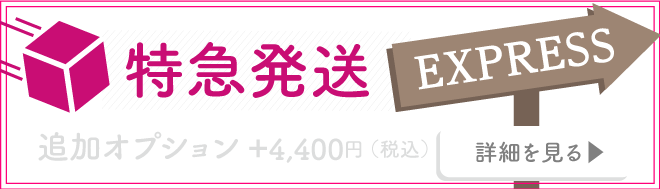 特急発送の詳細を見る